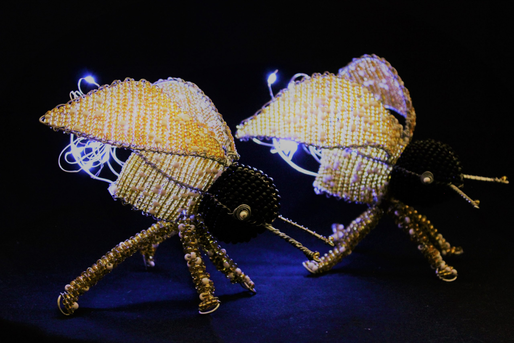 Firefly Mini