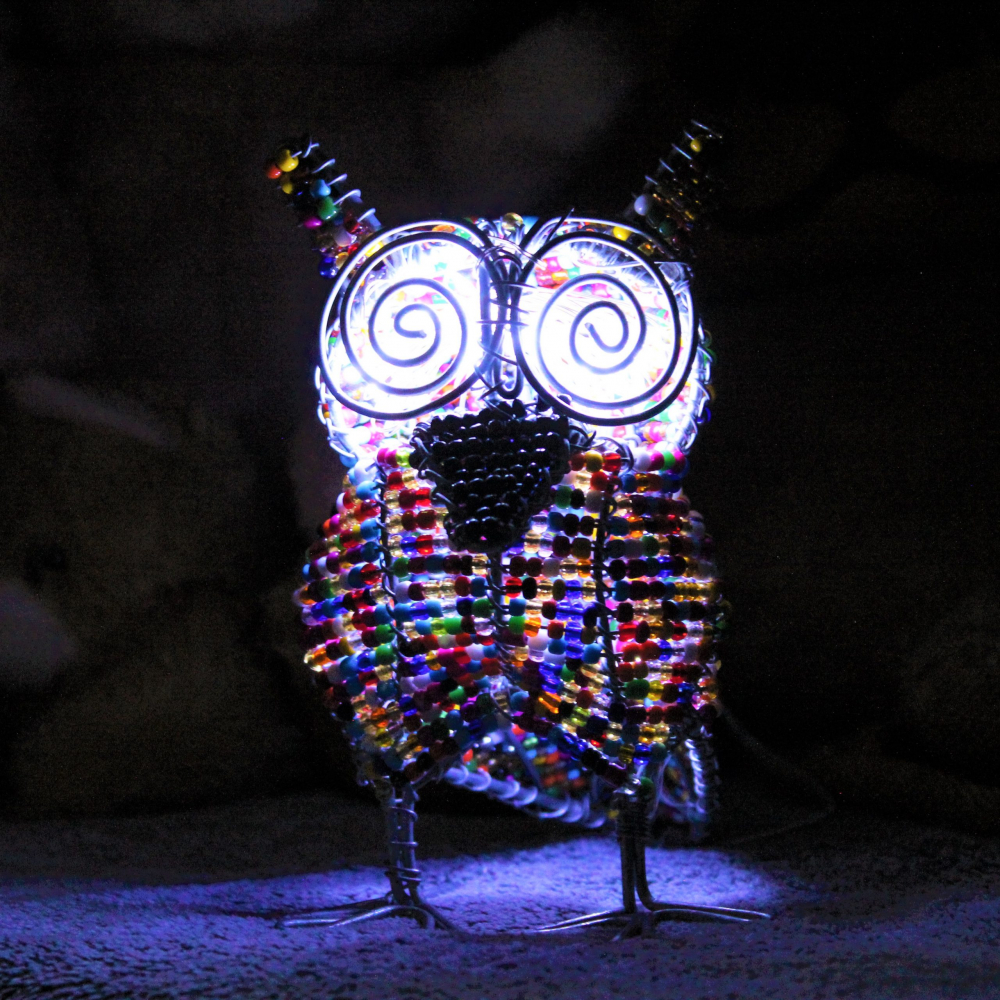 Shop our selection of Night Owls